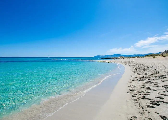 Yourhouse Els Nins * Can Picafort (Mallorca)